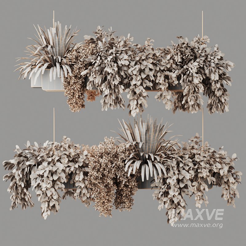 Indoorplants-Hanging plants set-86 - Image 4