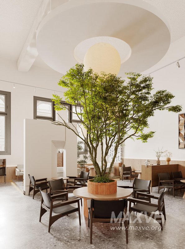 coffee shop cafe restaurant - Image 5