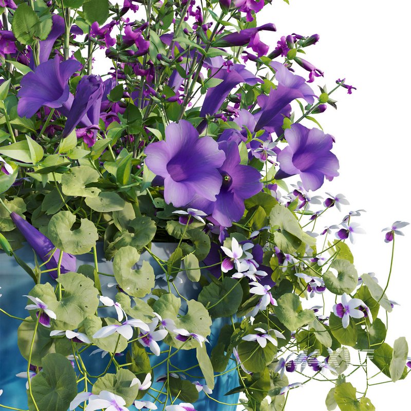 Pot plant 02 - Image 4