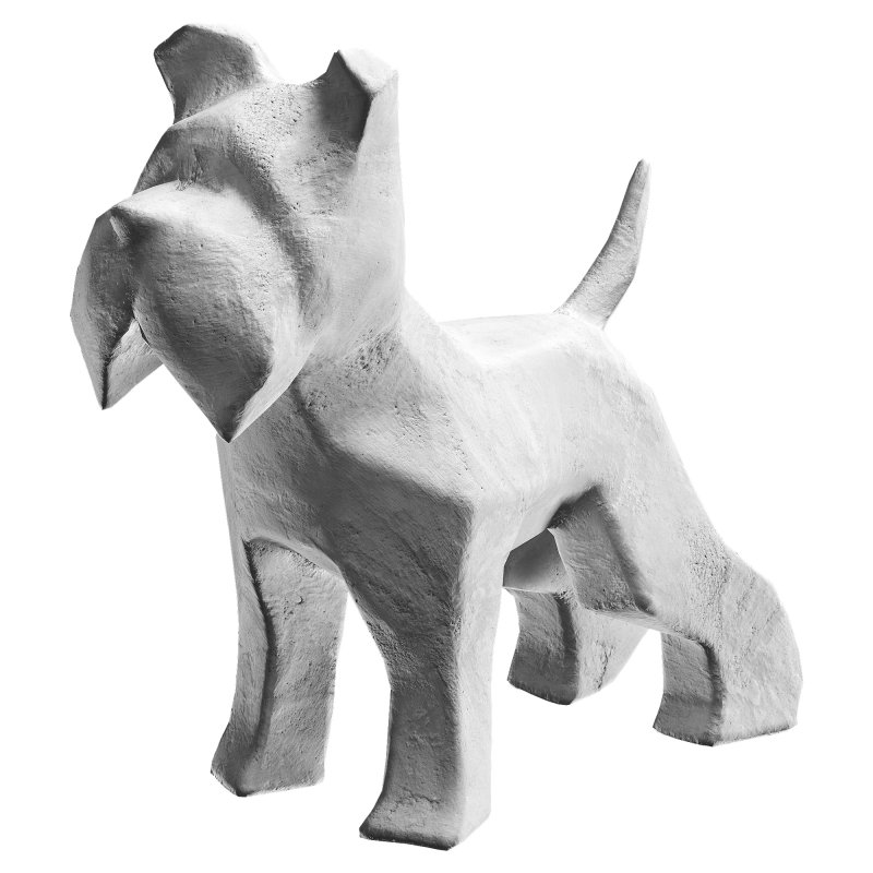 Schnauzer dog - Image 3