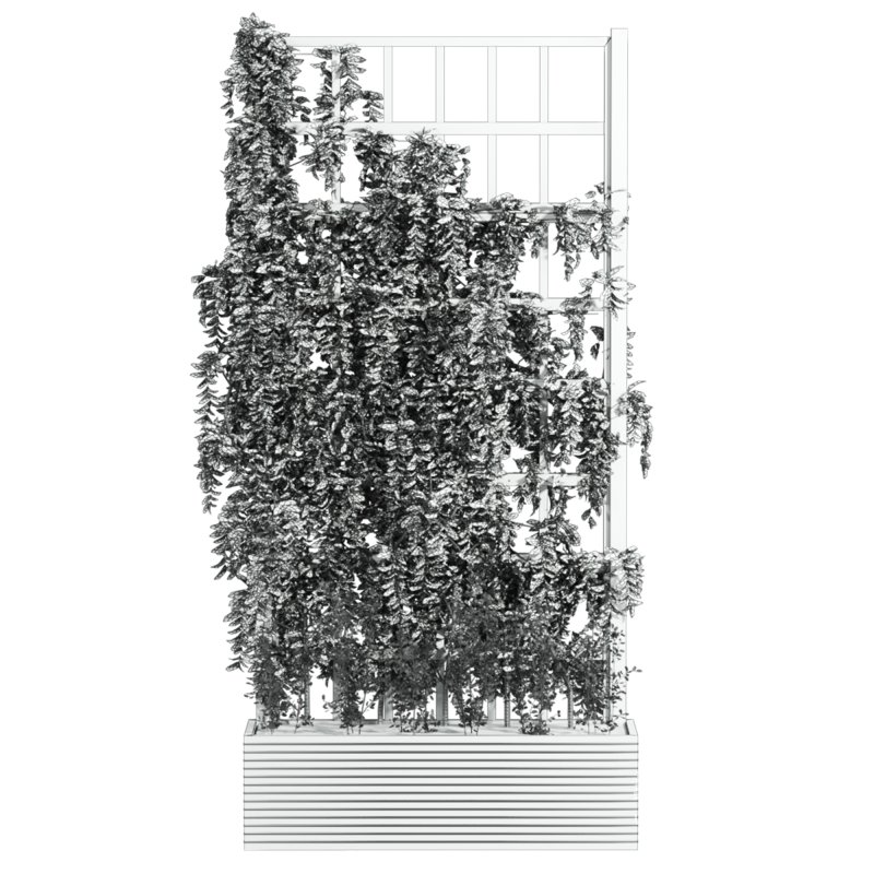 Plants_Set_66 - Image 4