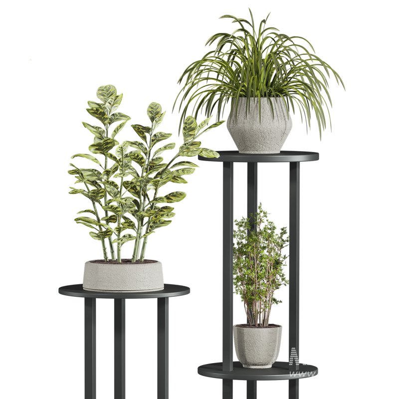 plants set - Image 2