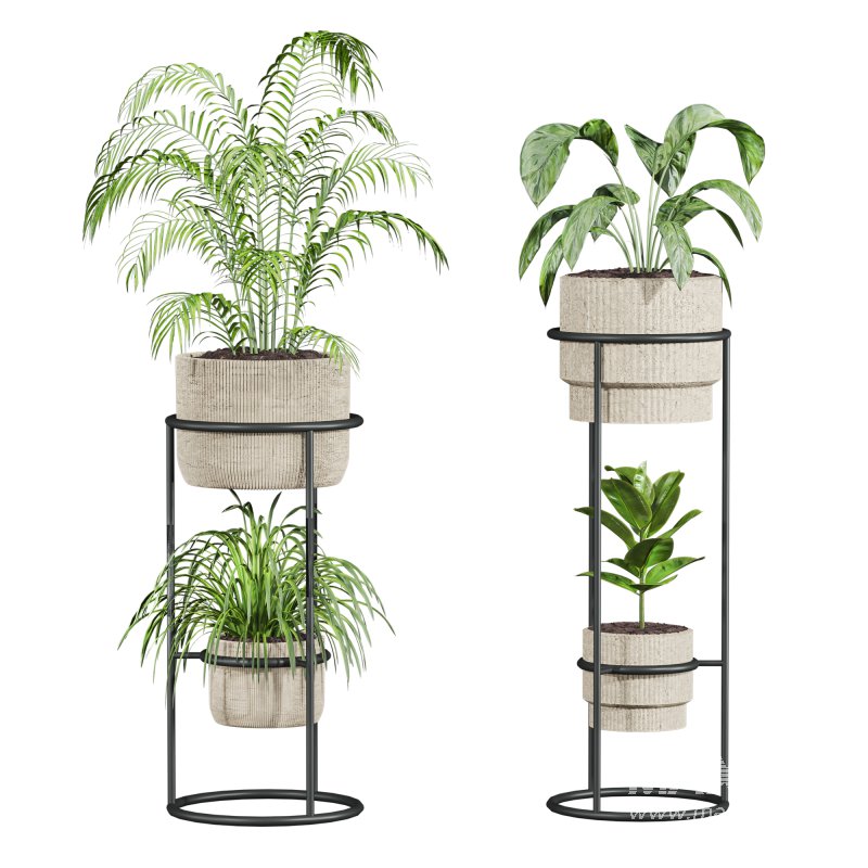 plants set - Image 1