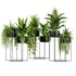 Indoorplants-155 - Thumbnail 2