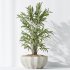 AV Indoor plants set 167 Artificial Olivo Olea Tree and Areca Majesty Cat Reed Palm and Lutescens Areca Palm - Thumbnail 5