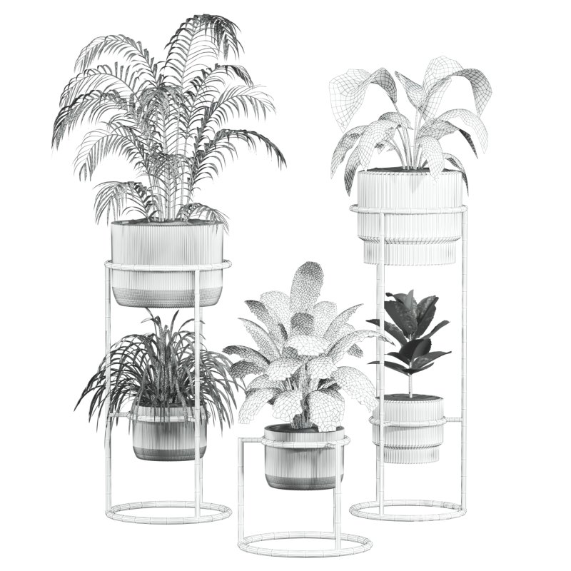 plants set - Image 3