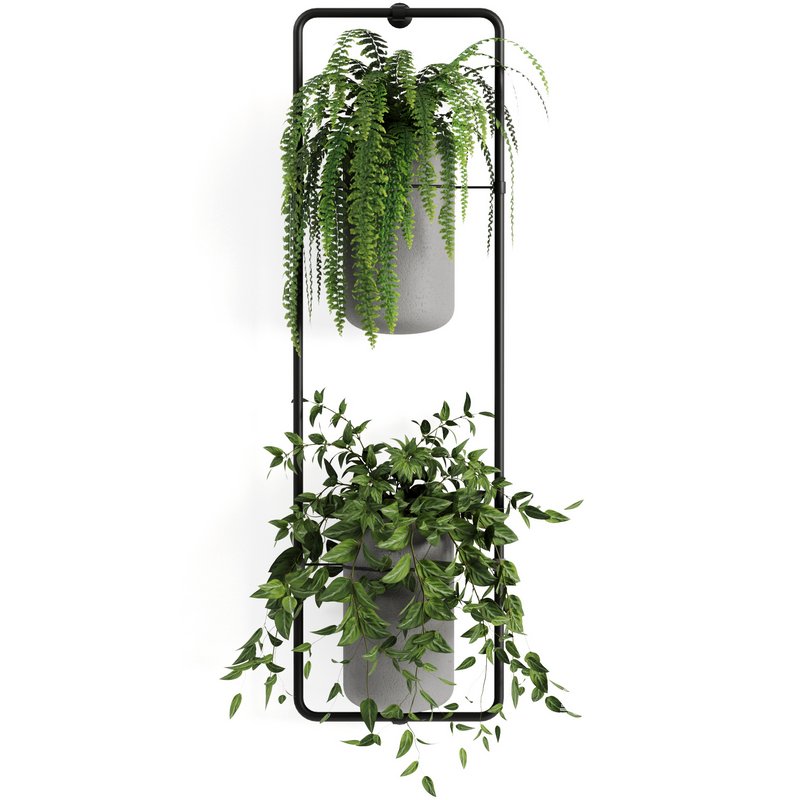 Indoorplants-shelf plants set156 - Image 2