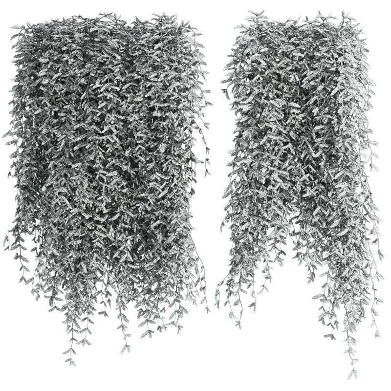 hanging plants - Image 3