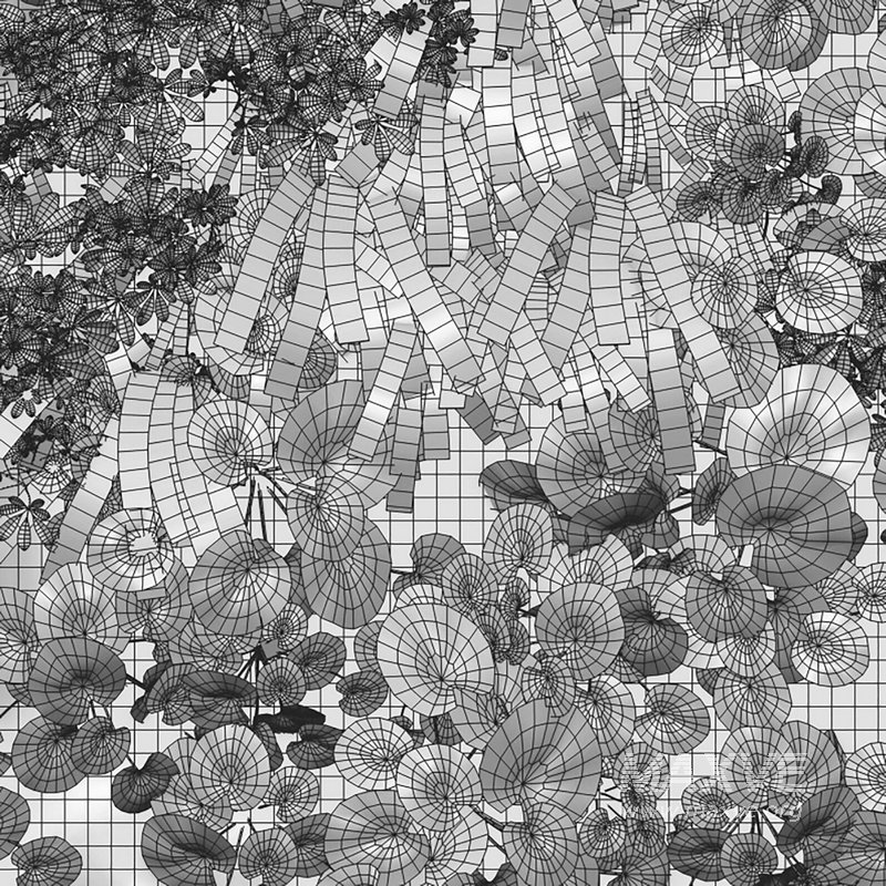 Vertical garden – Green wall – 01 - Image 4