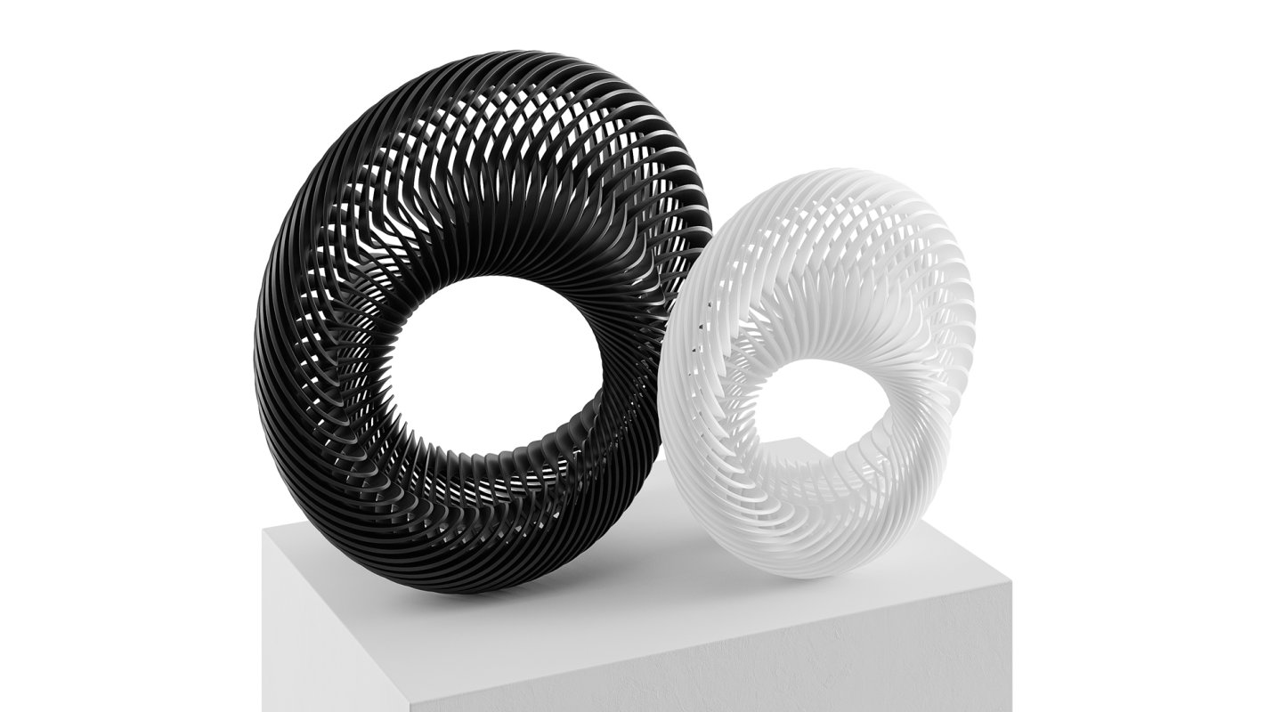 Abstract sculpture Nautilus Mobius - Image 4