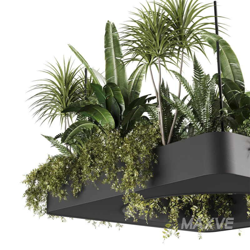 Indoorplants-Hanging set88 - Image 4