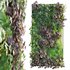 Vertical garden – Green wall – 01 - Thumbnail 1