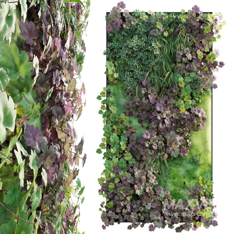 Vertical garden – Green wall – 01 - Image 1