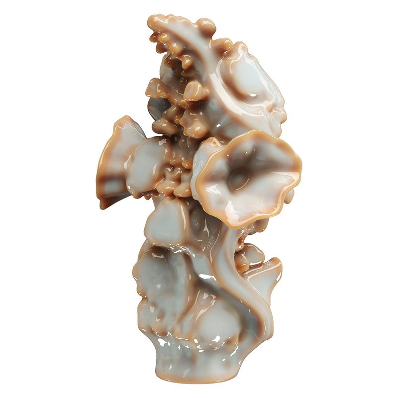 Decorative conch - Image 4