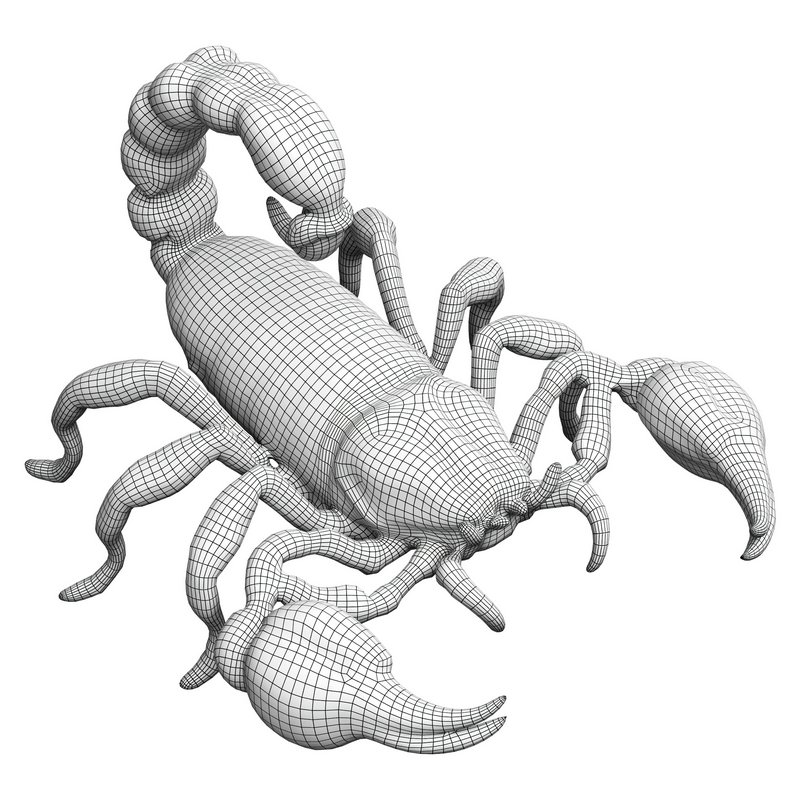 robot scorpion - Image 7