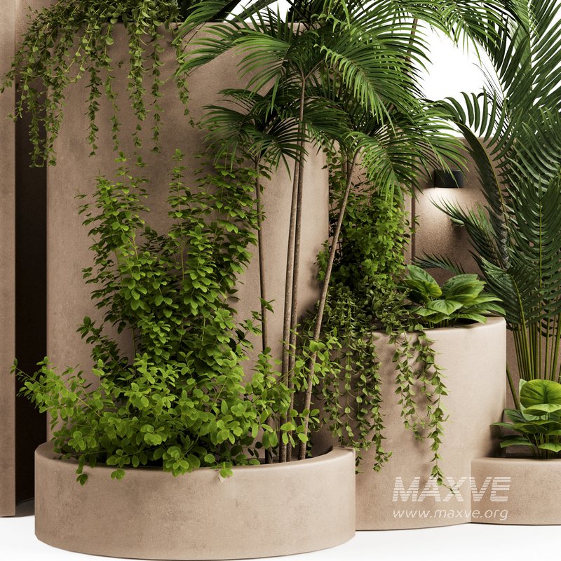 Backyard and Landscape Set-37 - Image 1