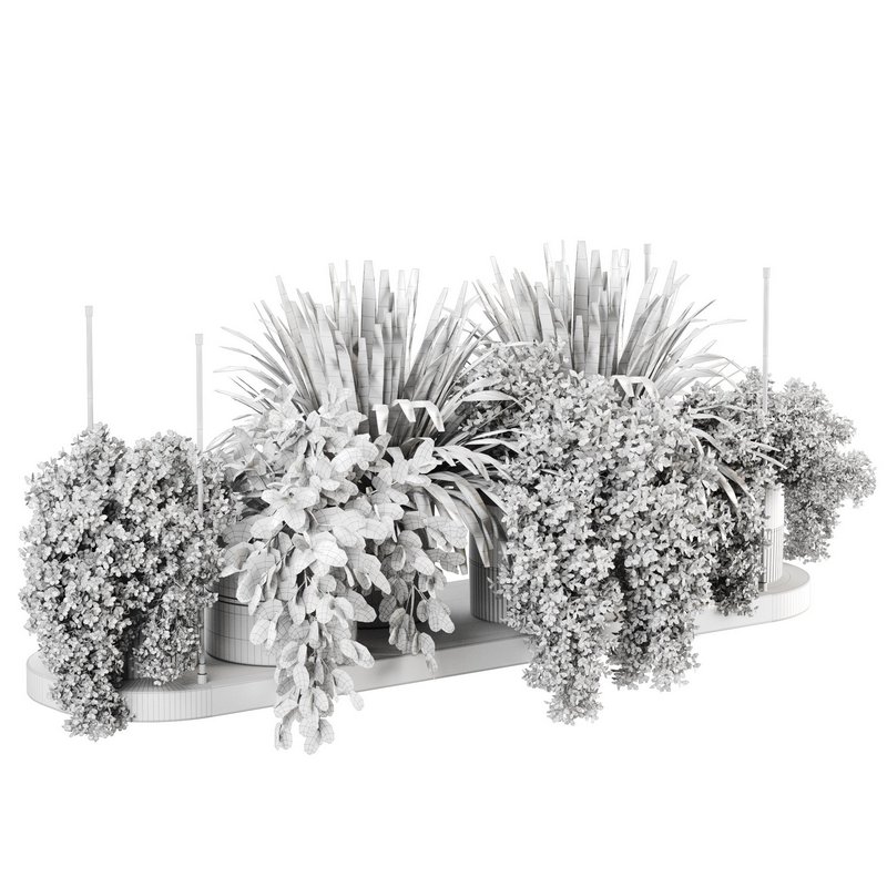 Indoorplants-Hanging plants set-85 - Image 2