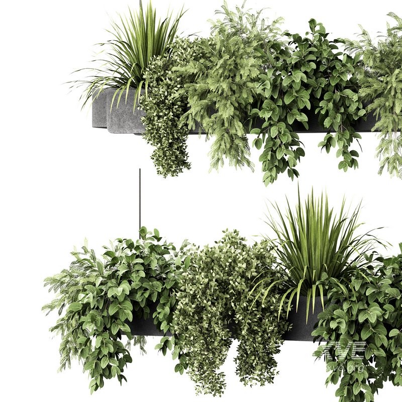 Indoorplants-Hanging plants set-86 - Image 6