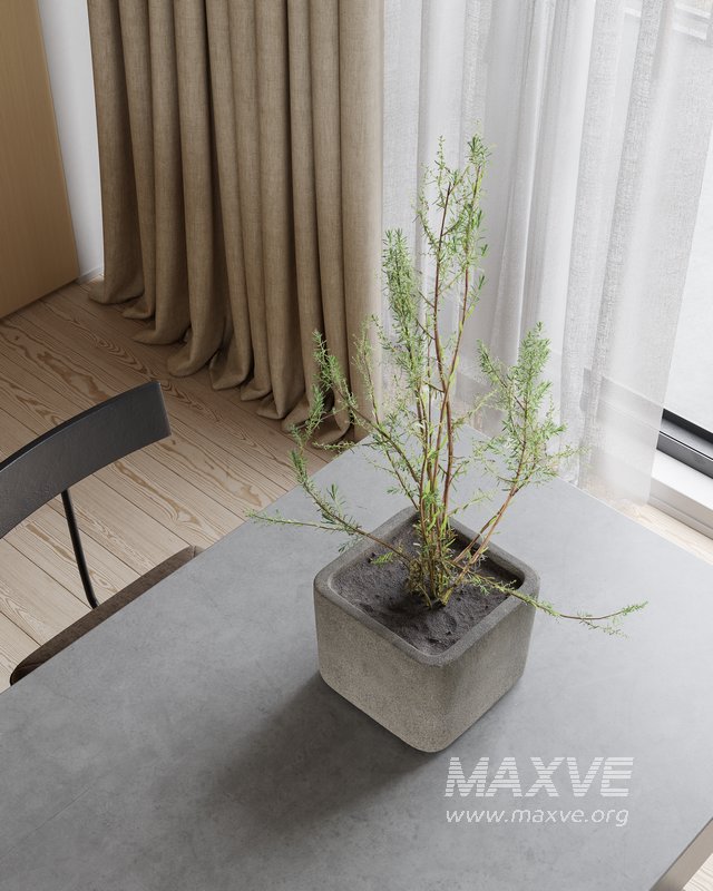 Living Room Dining Room - Image 6