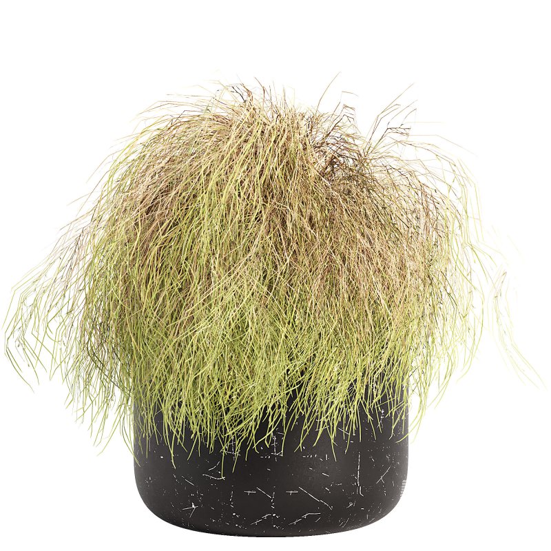 Outdoor Planters - Image 7