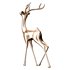 Deer - Thumbnail 1
