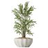 AV Indoor plants set 167 Artificial Olivo Olea Tree and Areca Majesty Cat Reed Palm and Lutescens Areca Palm - Thumbnail 3