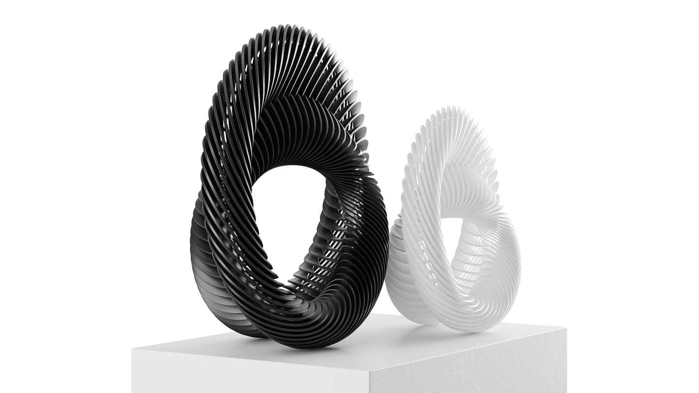 Abstract sculpture Nautilus Mobius - Image 3