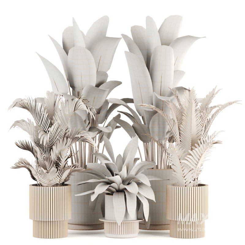 Indoor plants set159 - Image 5