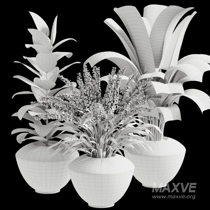 Outdoor Plant 39 - Image 5