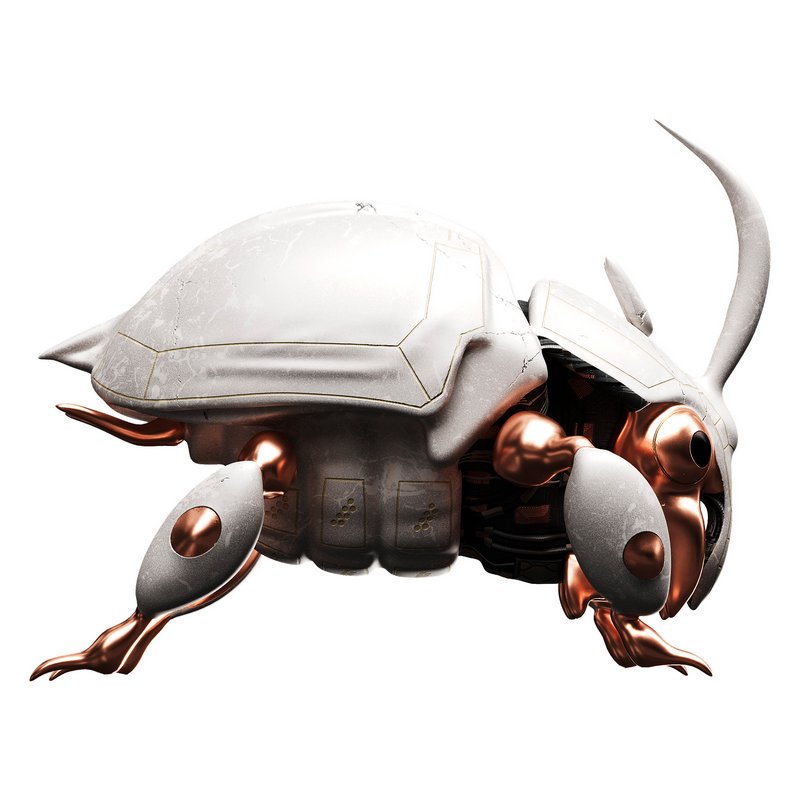 Beetle - Image 1