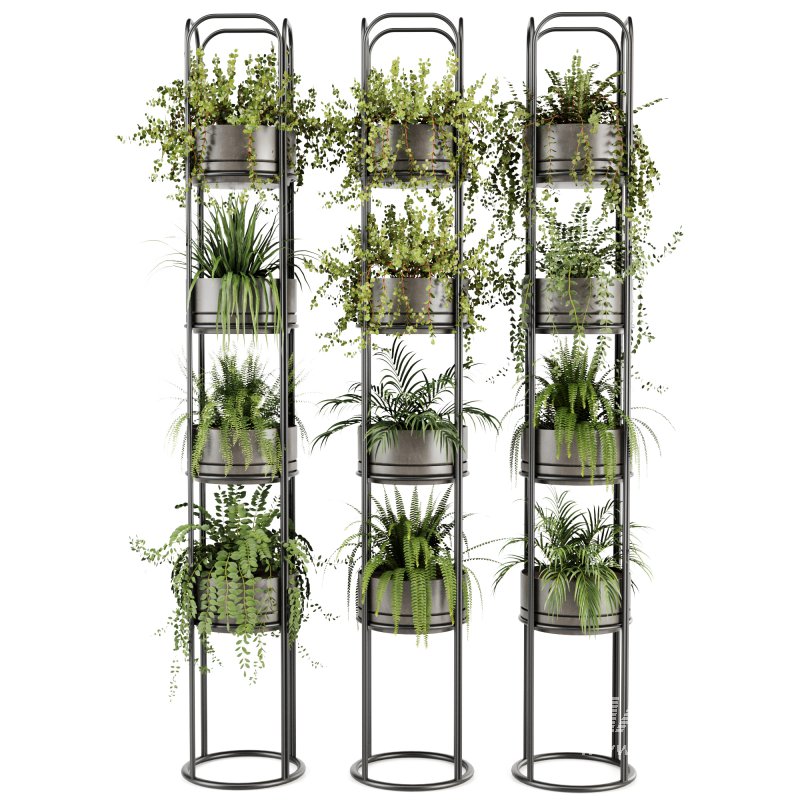 Indoorplants-Stand plant ivy set-164 - Image 2