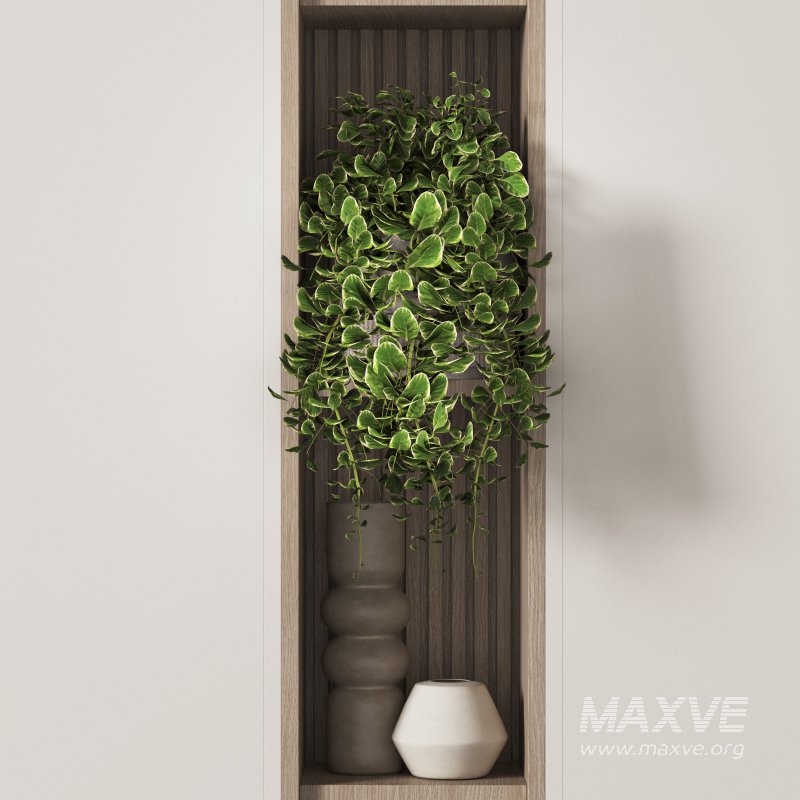 443 halway 443 - Image 3