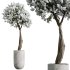 AV Tropez Planter Cherry Blossom Decorative Tree - Thumbnail 4