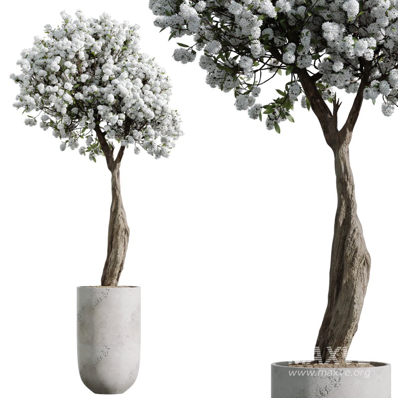 AV Tropez Planter Cherry Blossom Decorative Tree - Image 4