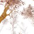 AV Plants Alnus-Glutinosa Winter Snow Tree Set02 - Thumbnail 4