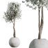 AV Tropez Planter Cherry Blossom Decorative Tree - Thumbnail 3