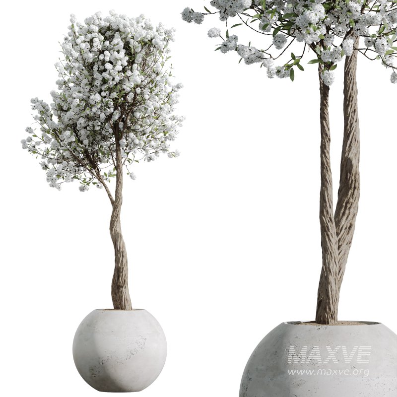 AV Tropez Planter Cherry Blossom Decorative Tree - Image 3