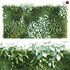 Vertical garden 05 - Thumbnail 1