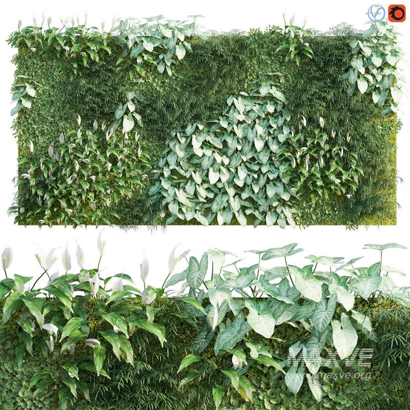 Vertical garden 05 - Image 1
