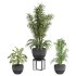 plants set - Thumbnail 1