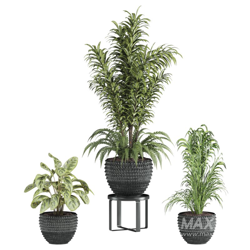 plants set - Image 1