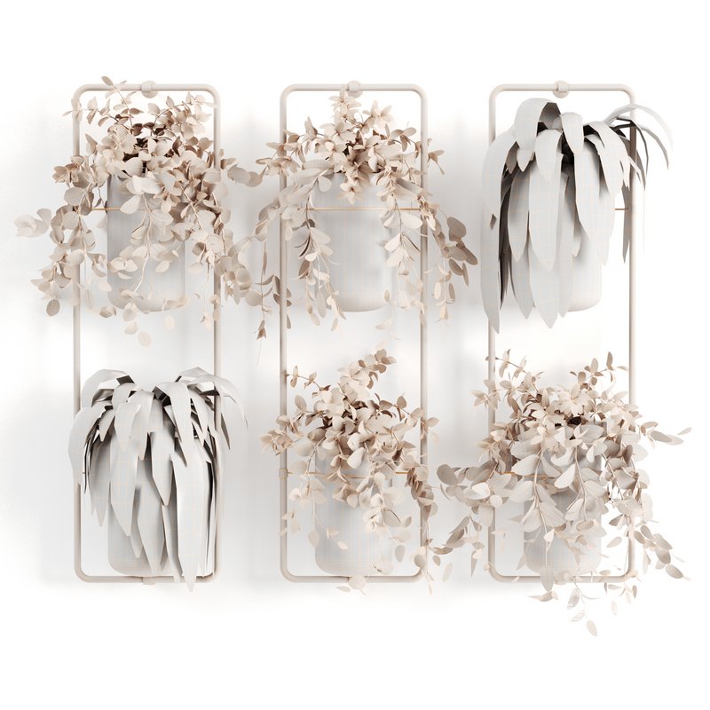 Indoorplants-shelf plants set156 - Image 5