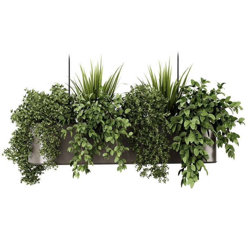 Indoorplants-Hanging set87 - Image 1