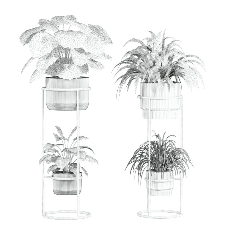 plants set - Image 3