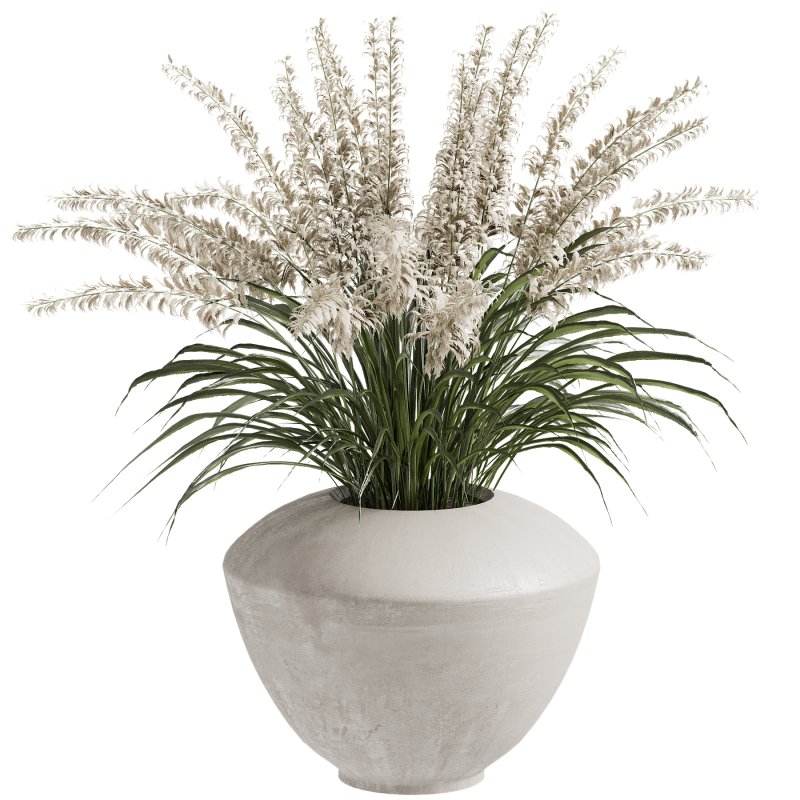 Outdoor Plant 39 - Image 4