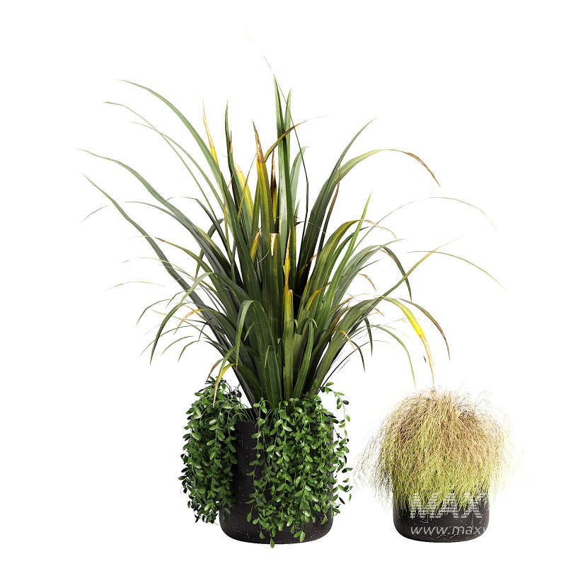 Outdoor Planters - Image 2