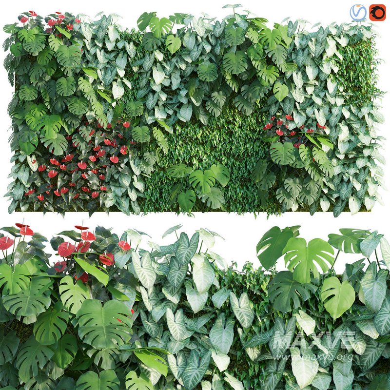 Vertical garden 01 - Image 1