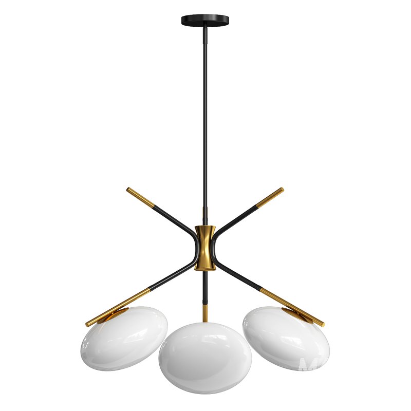 Champignon - Image 4