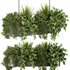 Indoorplants-Hanging set87 - Thumbnail 3