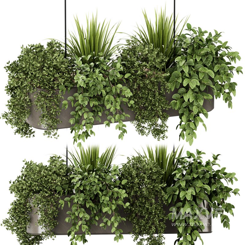 Indoorplants-Hanging set87 - Image 3